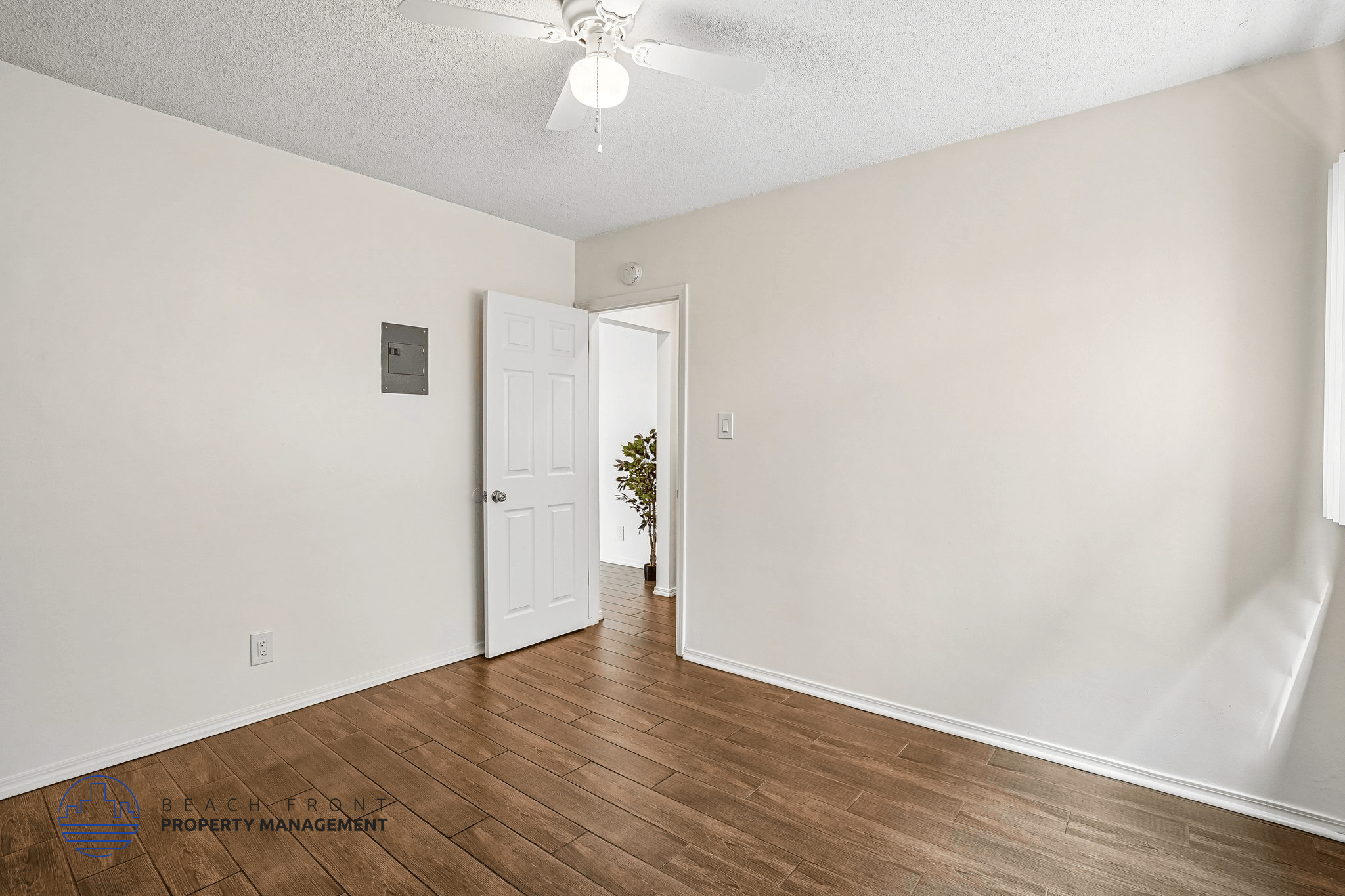 A room with a white door and a plant in the hallway.